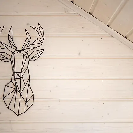 Jelonek - Ogrzewane, Klimatyzowane, Balia-jacuzzi ロッジ *