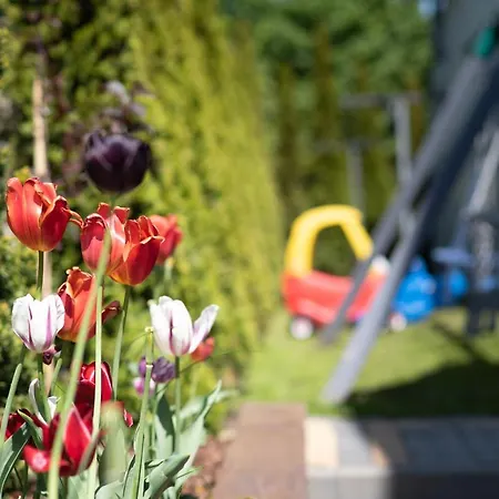 Jelonek - Ogrzewane, Klimatyzowane, Balia-jacuzzi *