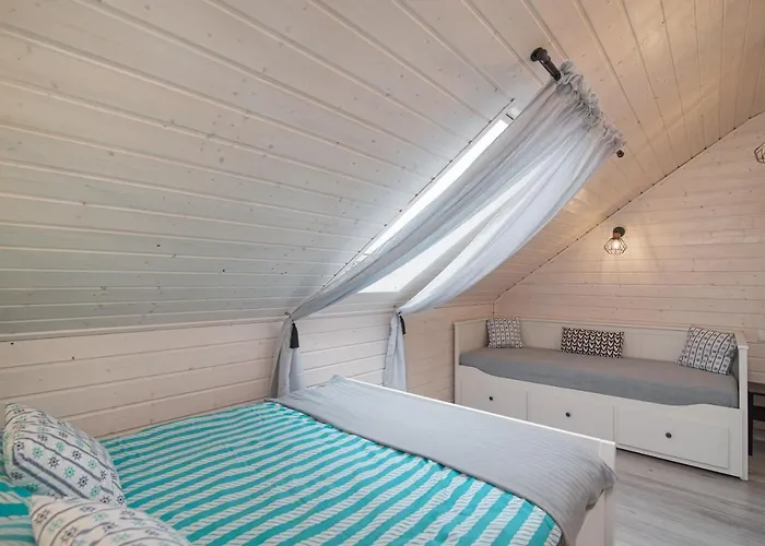 Jelonek - Ogrzewane, Klimatyzowane, Balia-jacuzzi Władysławowo