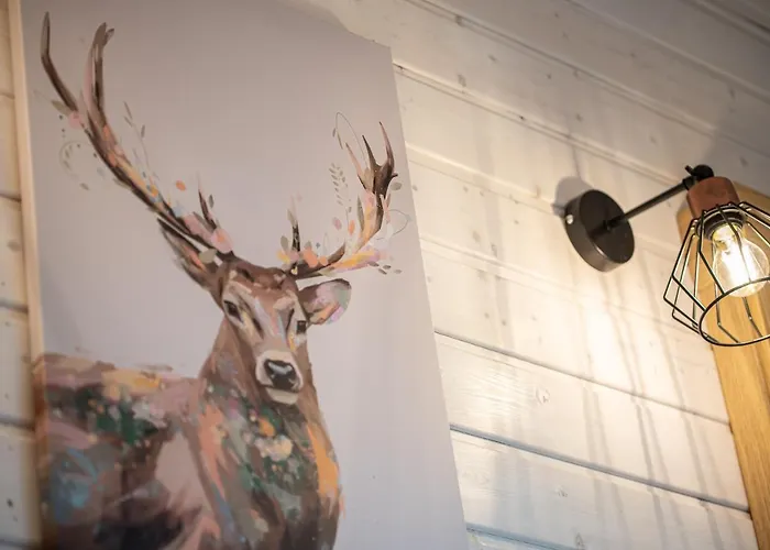 Chata Jelonek - Ogrzewane, Klimatyzowane, Balia-jacuzzi Władysławowo