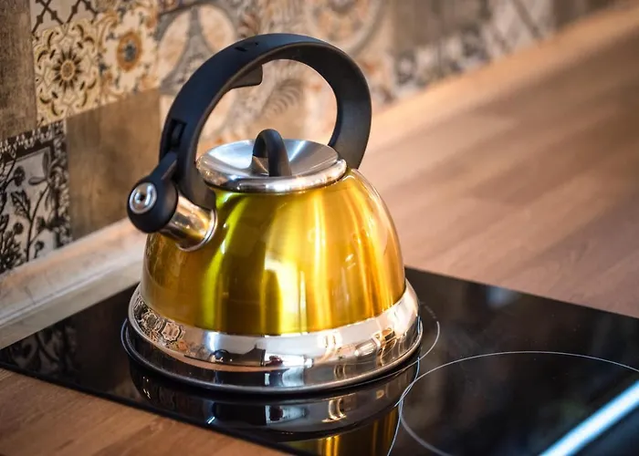 Jelonek - Ogrzewane, Klimatyzowane, Balia-jacuzzi