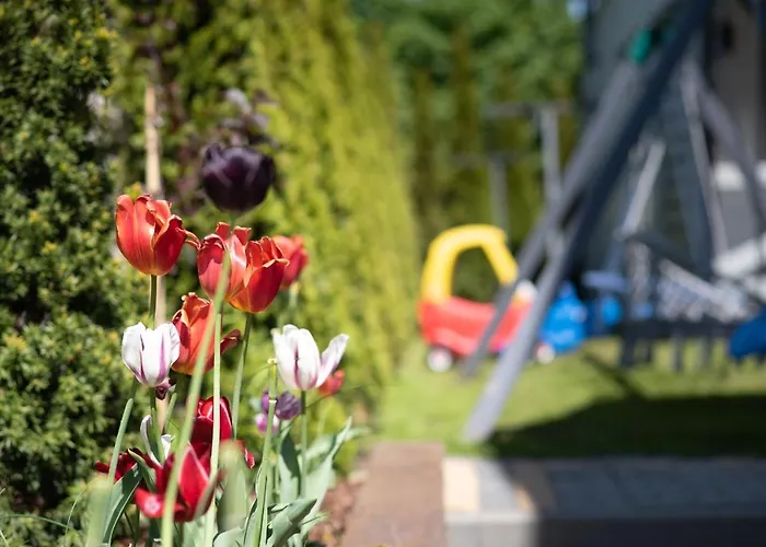 Jelonek - Ogrzewane, Klimatyzowane, Balia-jacuzzi *